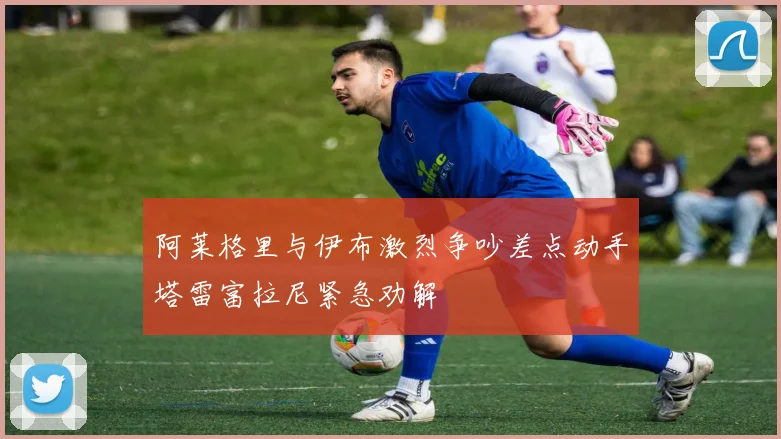 阿莱格里与伊布激烈争吵差点动手塔雷富拉尼紧急劝解